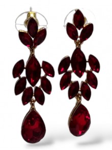 Fashion Earrings